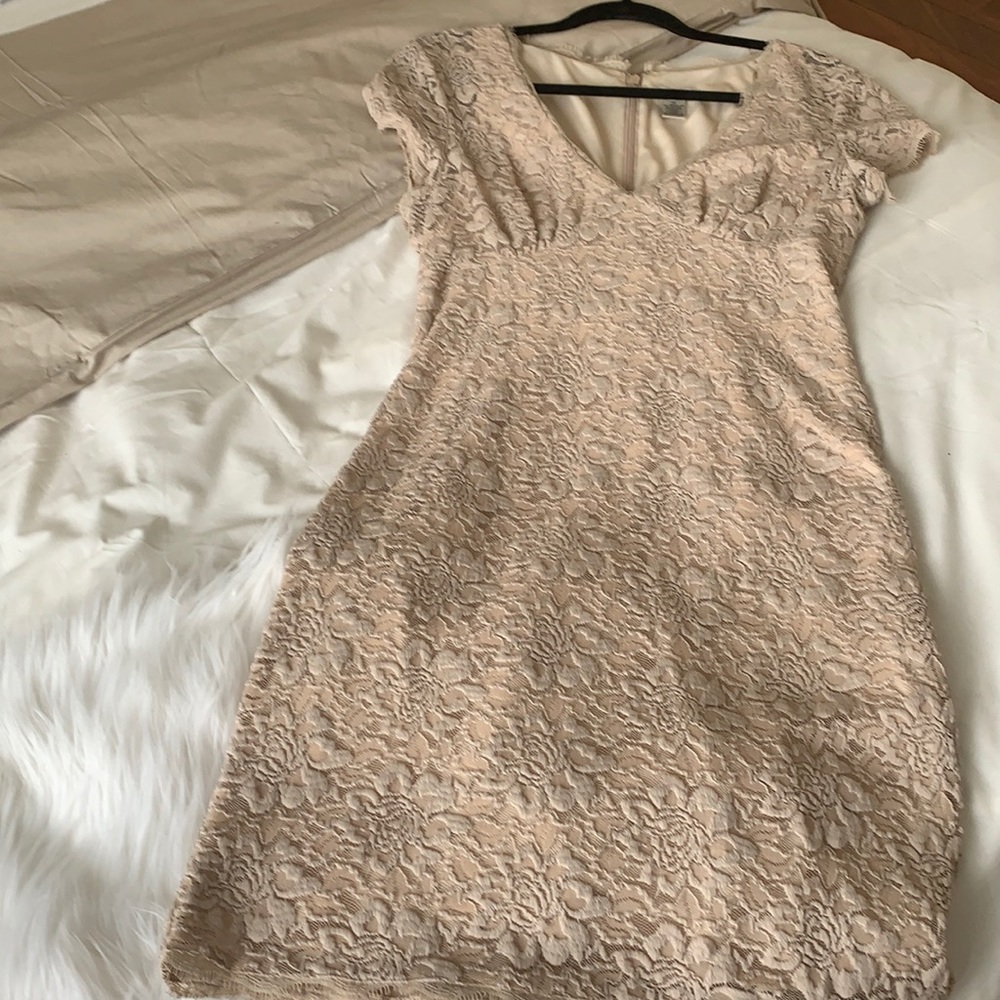 Beautiful laces dress from Cache